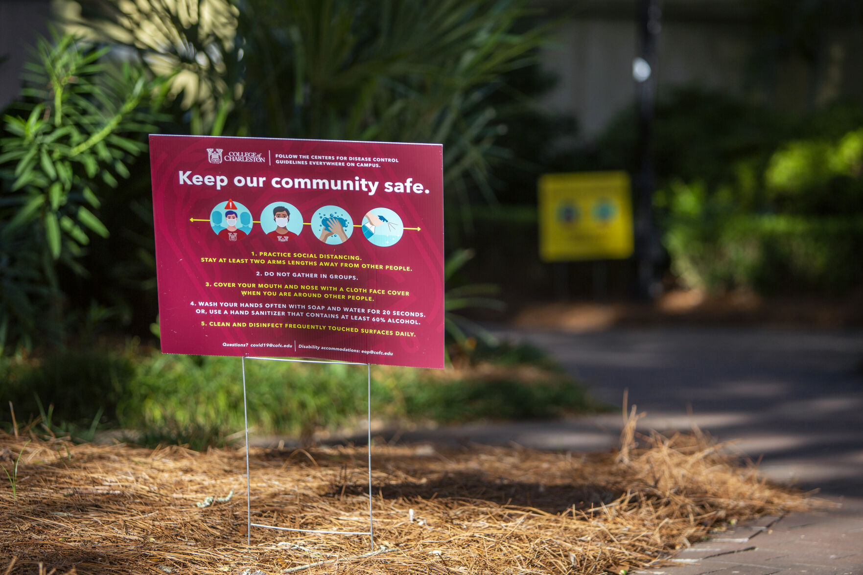 collegeofcharleston_7.jpg